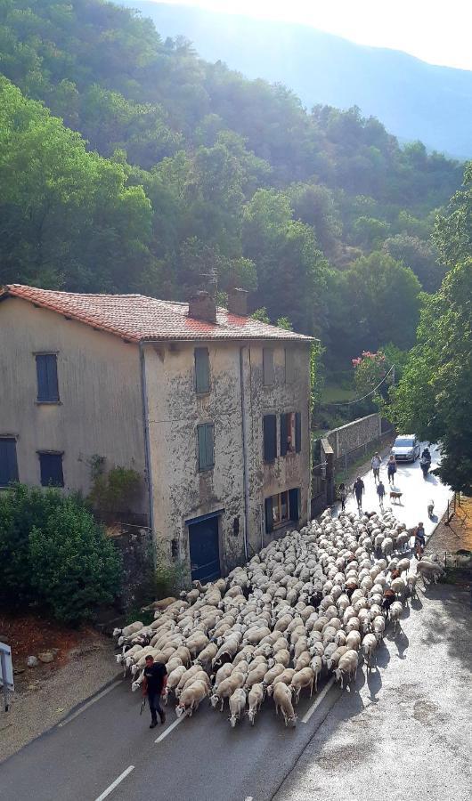 Auberge Cevenole Valleraugue Exterior photo